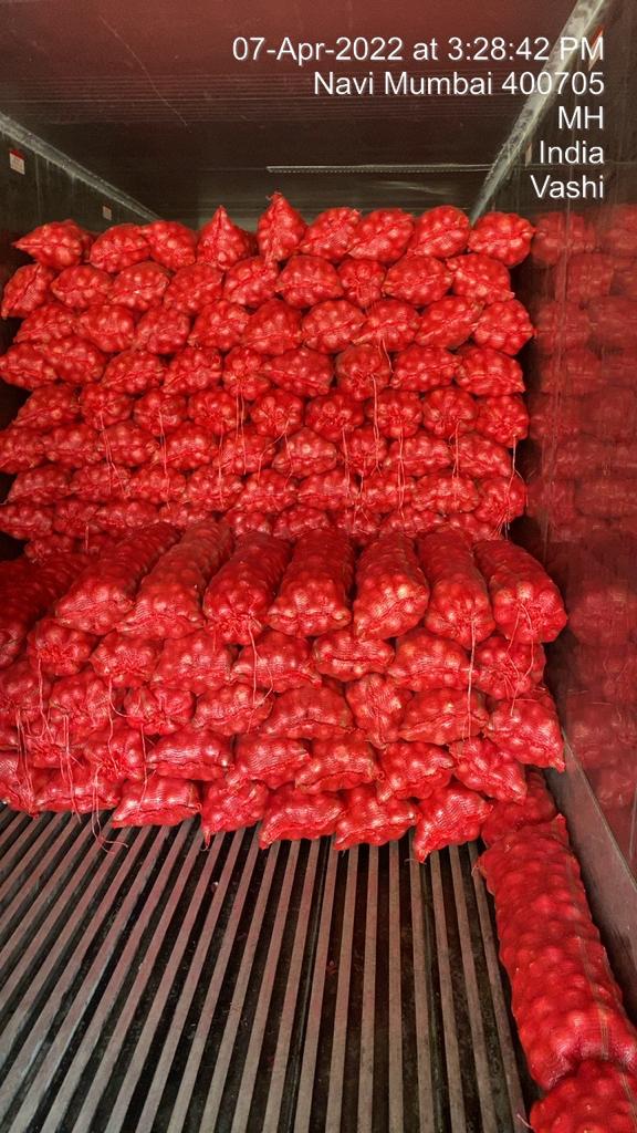 Onion Pic 5.jpg