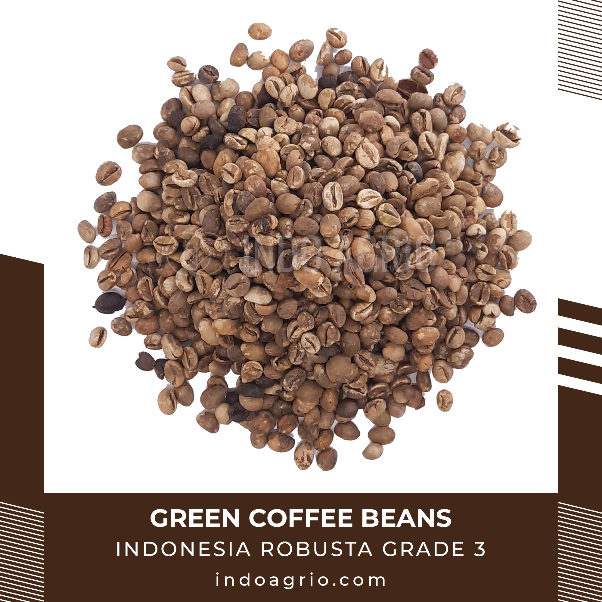 ROBUSTA-GRADE-3.jpg