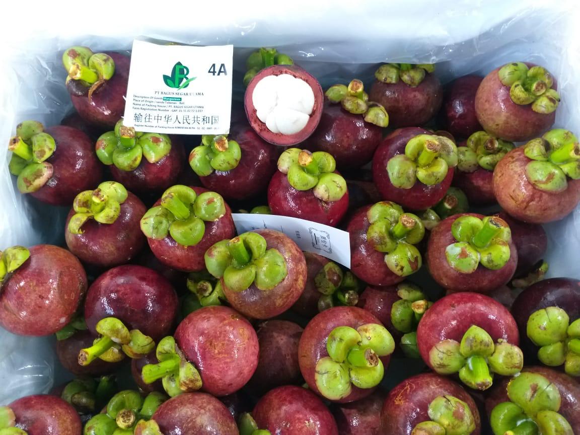 WhatsApp Image 2021-05-21 at 14.33.59.jpeg