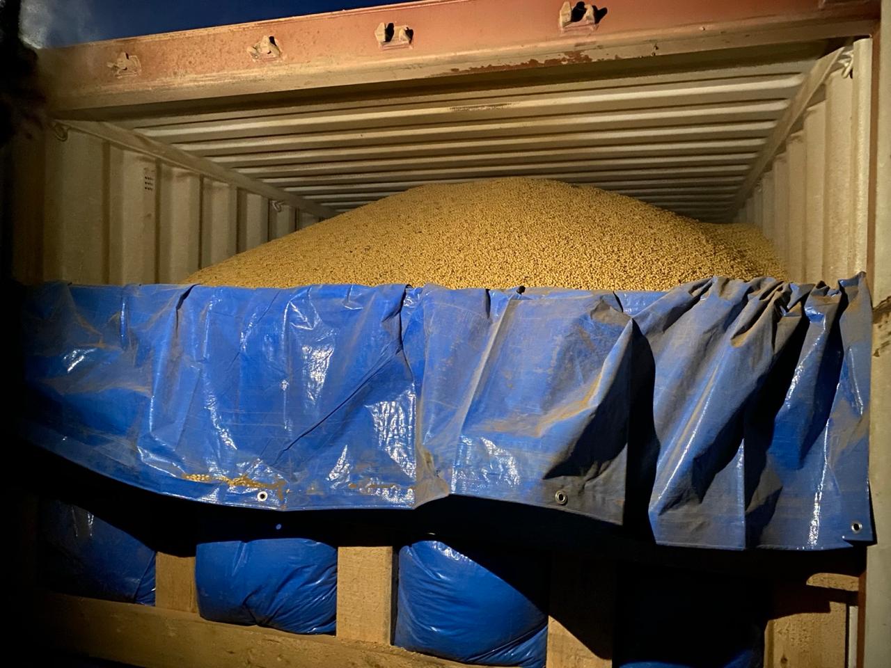 Изображение WhatsApp 2024-05-18 в 12.35.30_94dc2b87.jpg