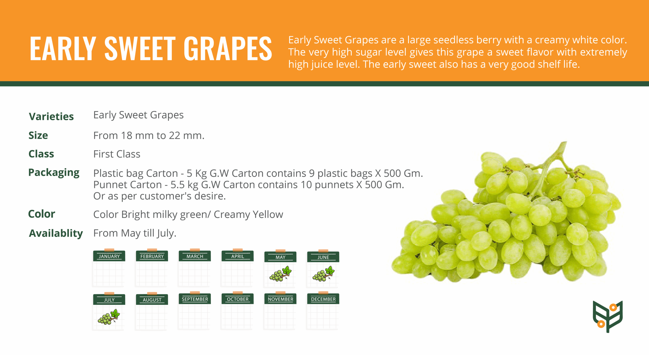 EARLY-SWEET-GRAPES-scaled.png