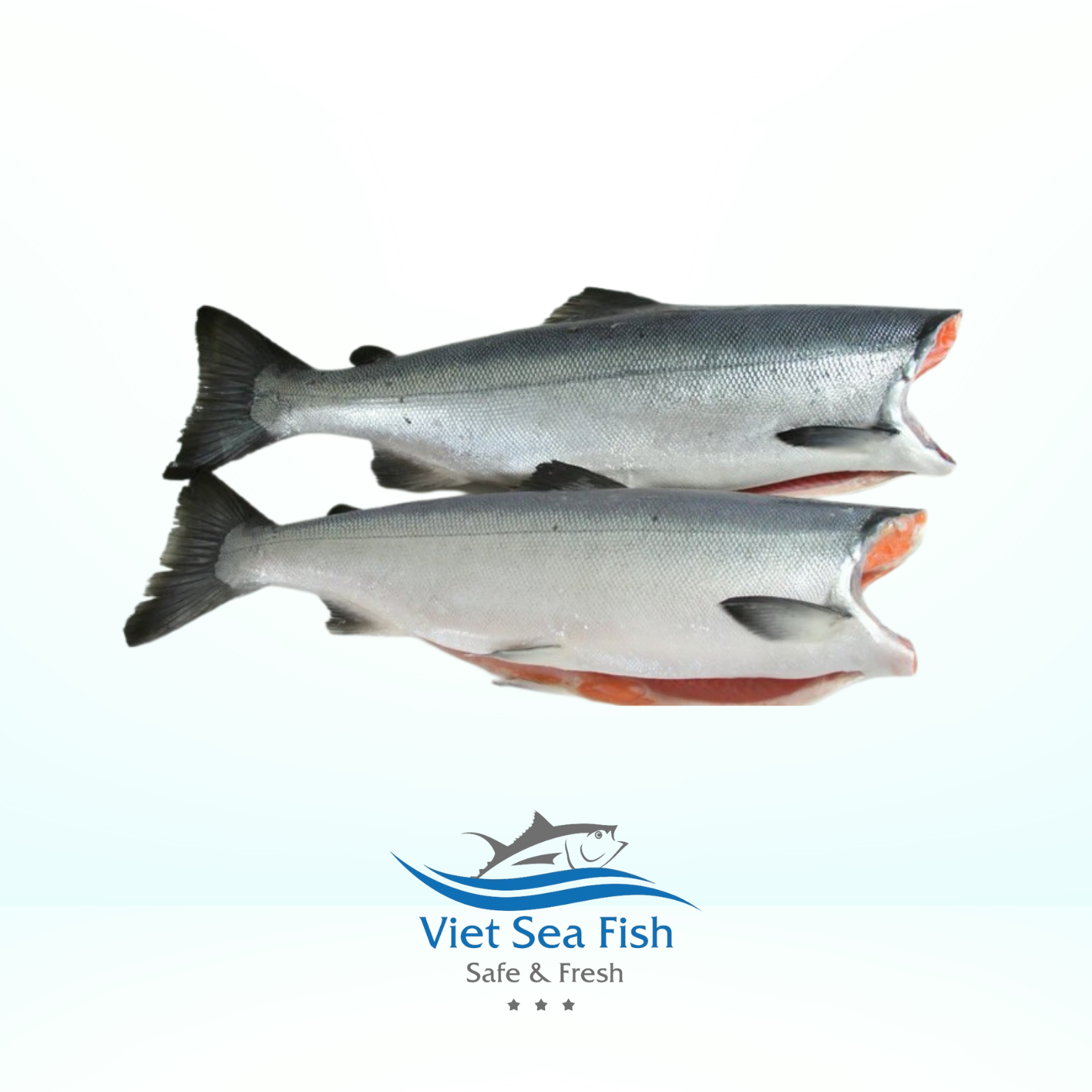 Salmon Koho.png
