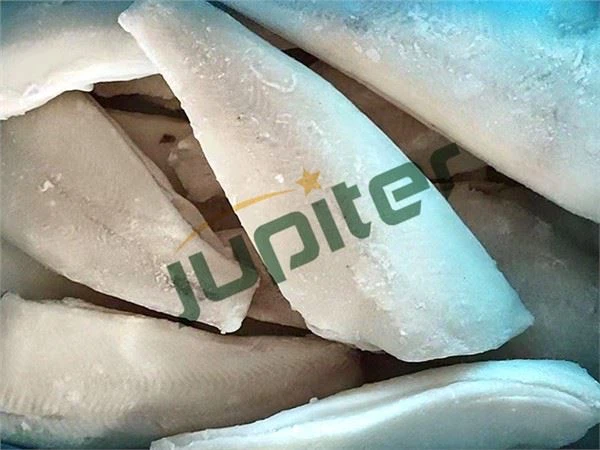 frozen-greenland-halibut-fillet20116571881.webp