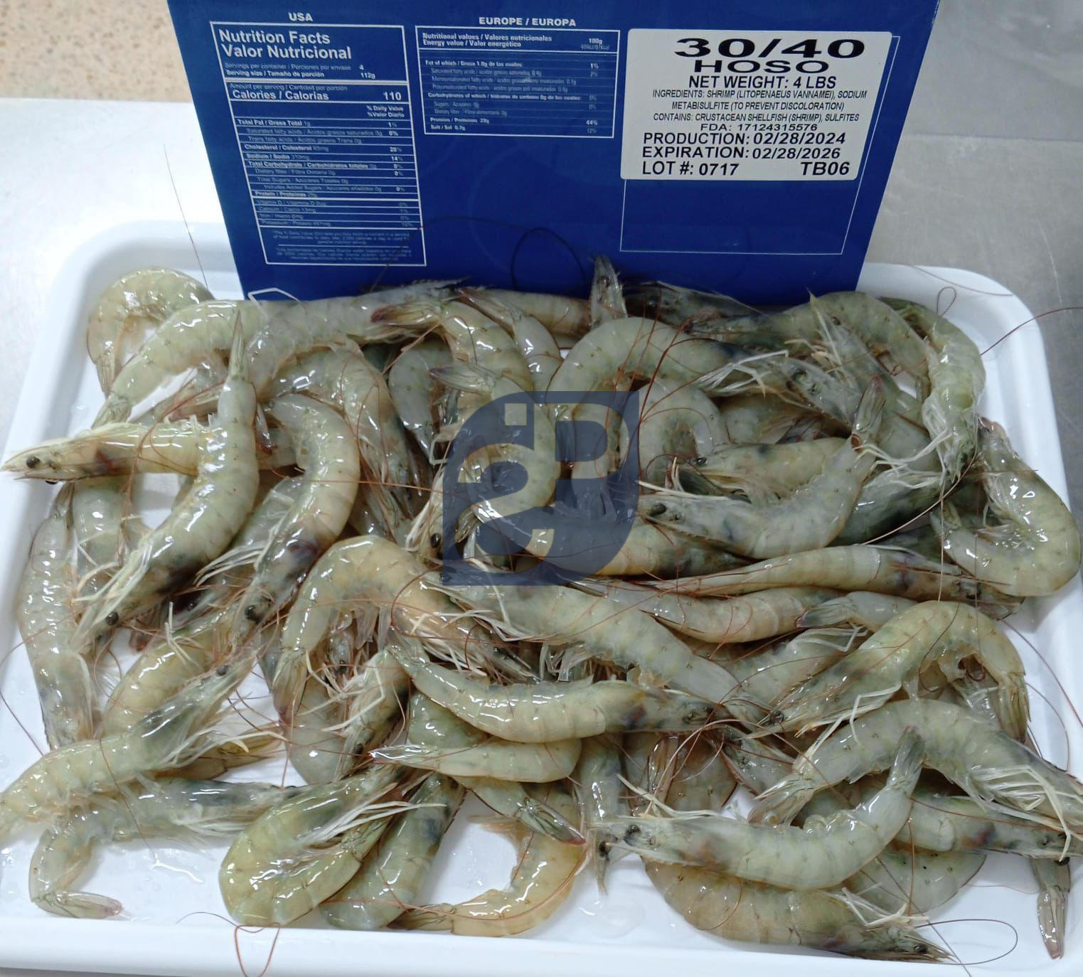 Vannamei Shrimp #8 - Standard & Partners.jpg