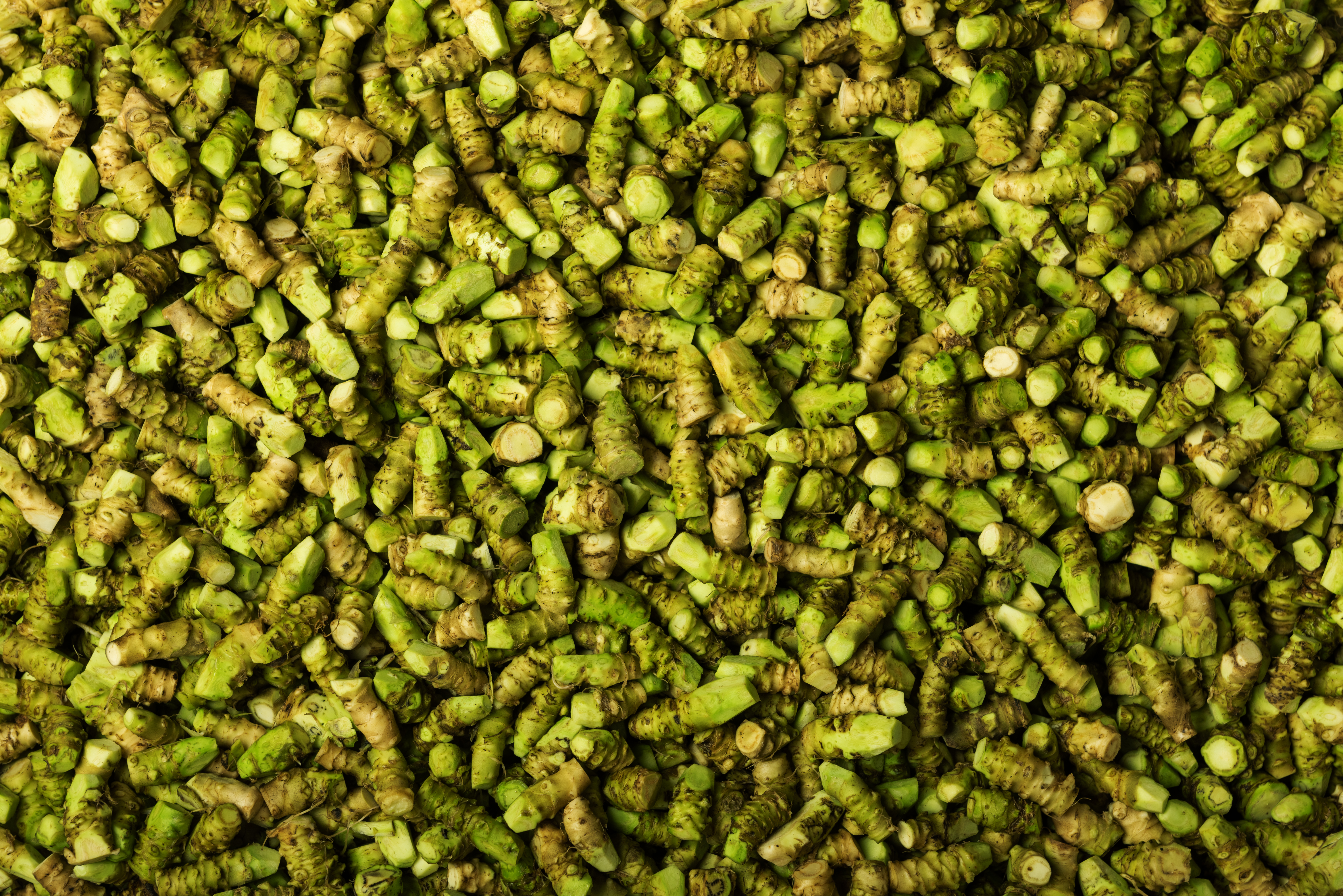 新鲜山葵（小） - 副本.jpg