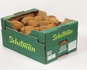 10kg-Schotman-370x299.jpg