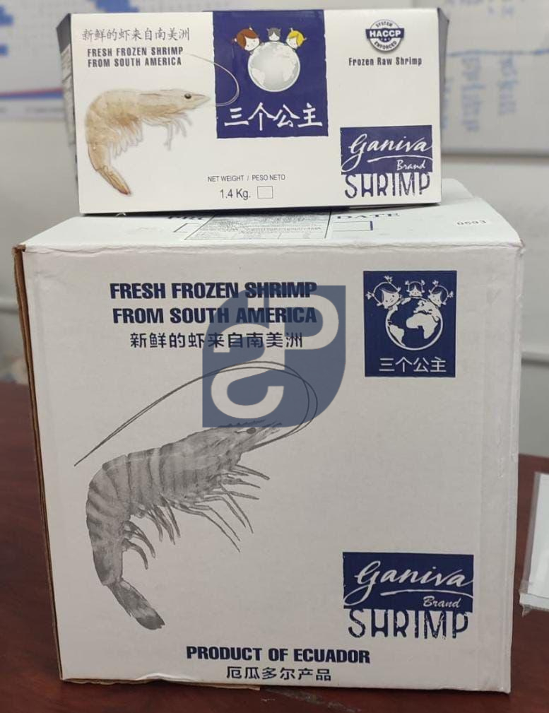 Vannamei Shrimp #1 - Standard & Partners.jpg