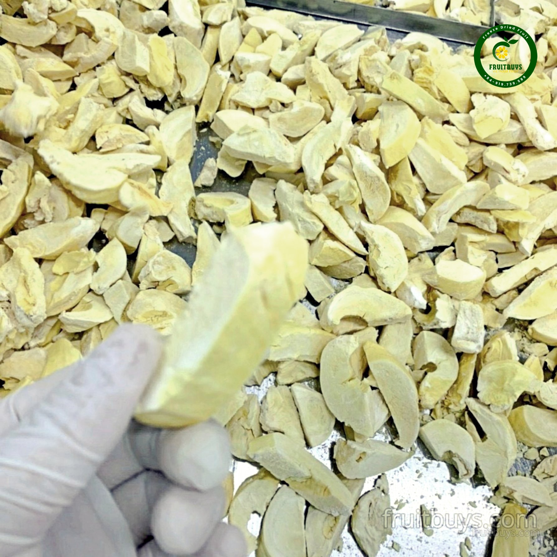 Freeze-Dried Durian Fruit-FruitBuys Vietnam (3).jpg
