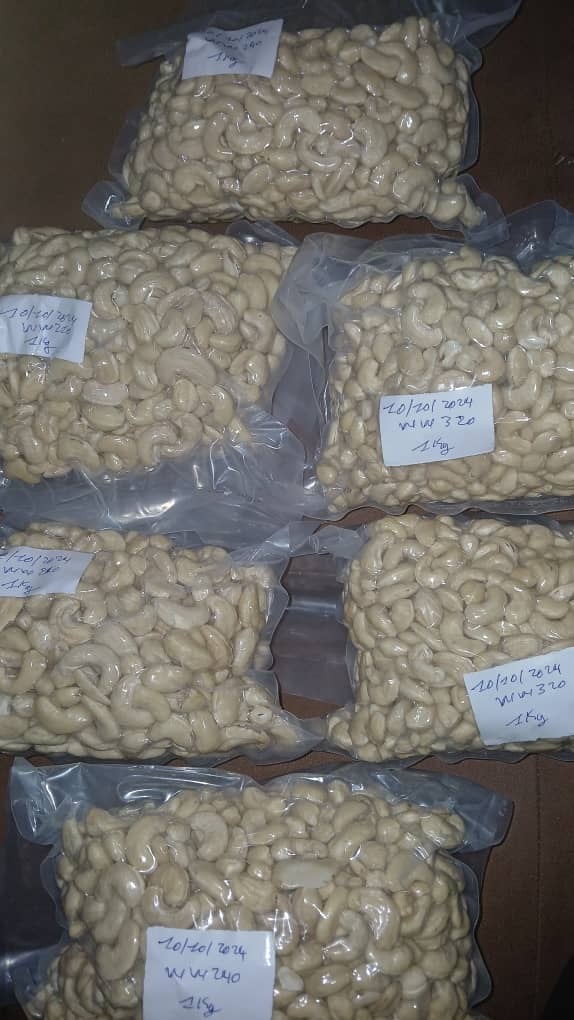 Noix_cajou_côte_ivoire_zadi#kodra-export_5jpg.jpg