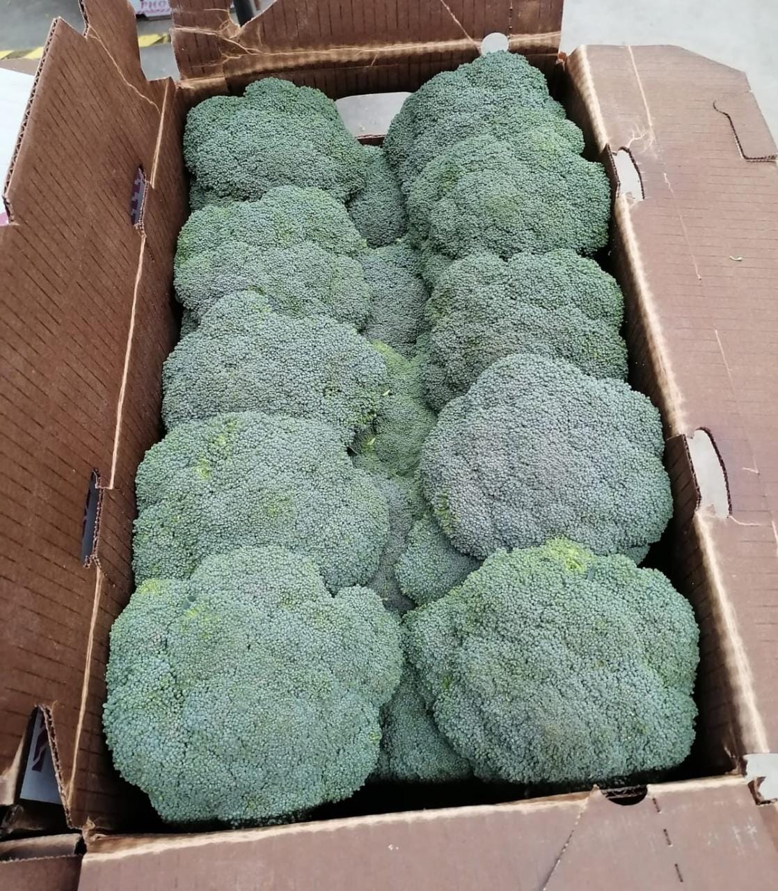 WhatsApp Image 2022-02-28 at 1.43.35 PM.jpeg