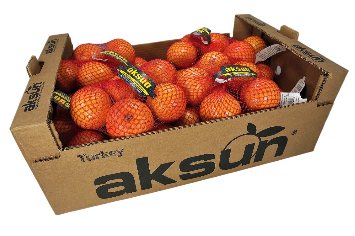 Grapefruit Netted 2.jpg