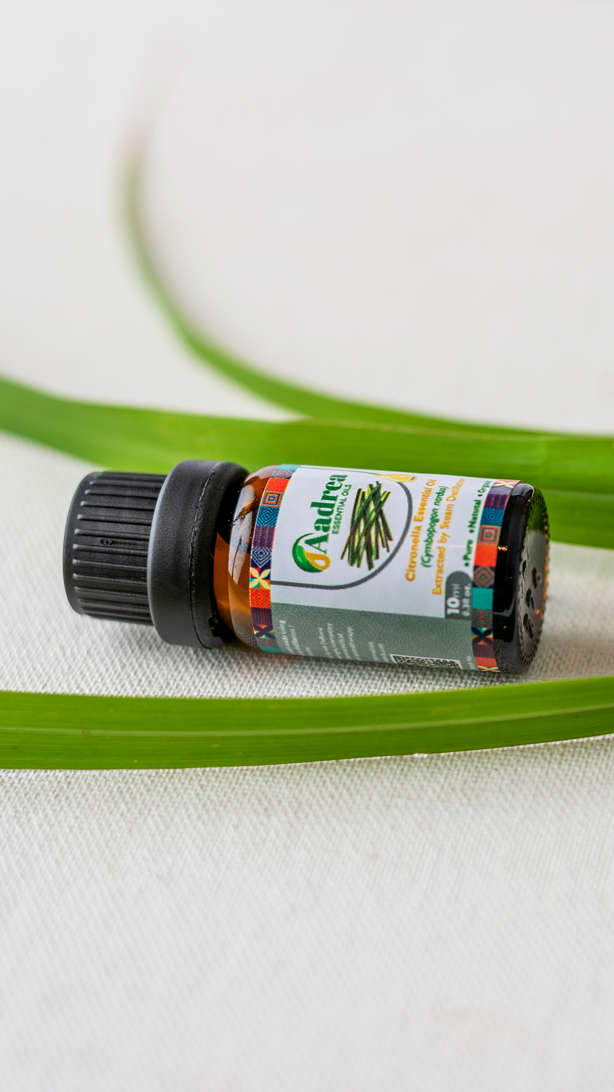 citronella proped 1.jpg