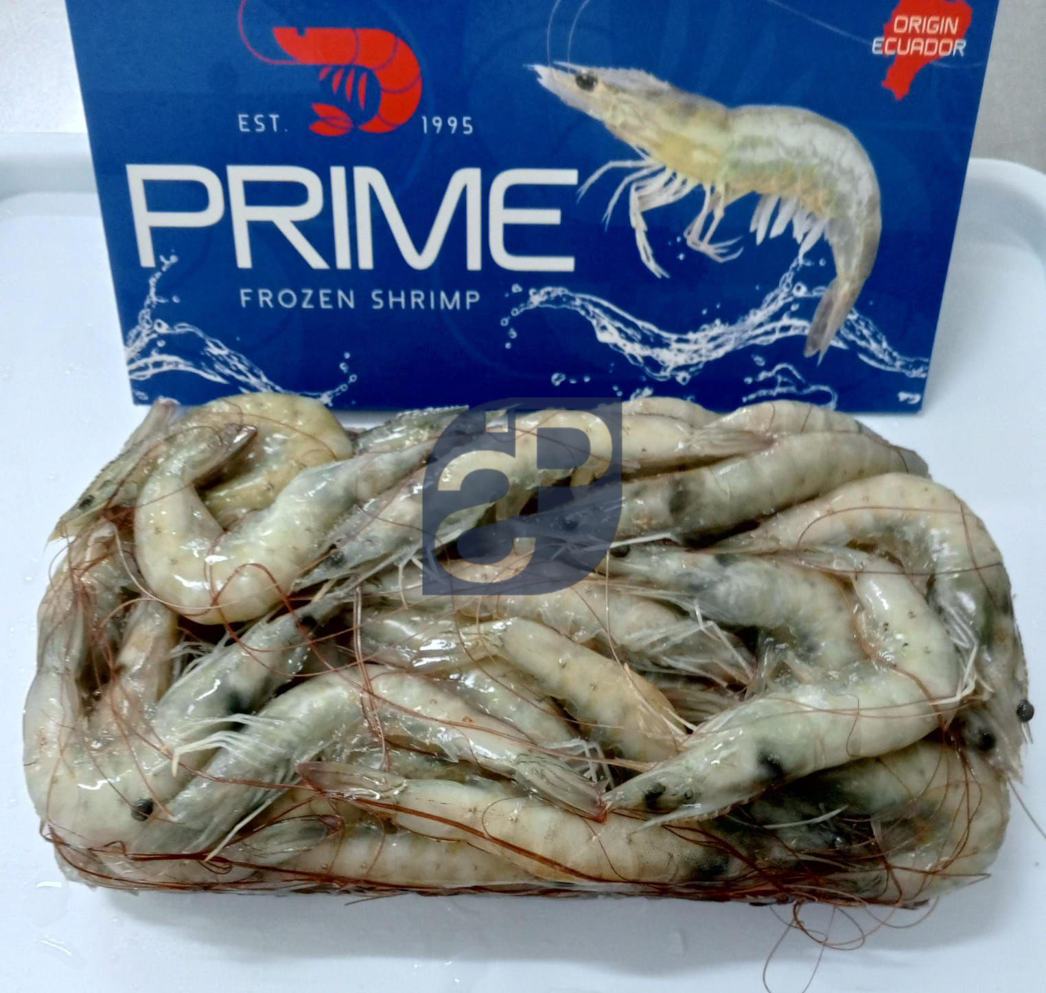 Vannamei Shrimp #4 - Standard & Partners.jpg