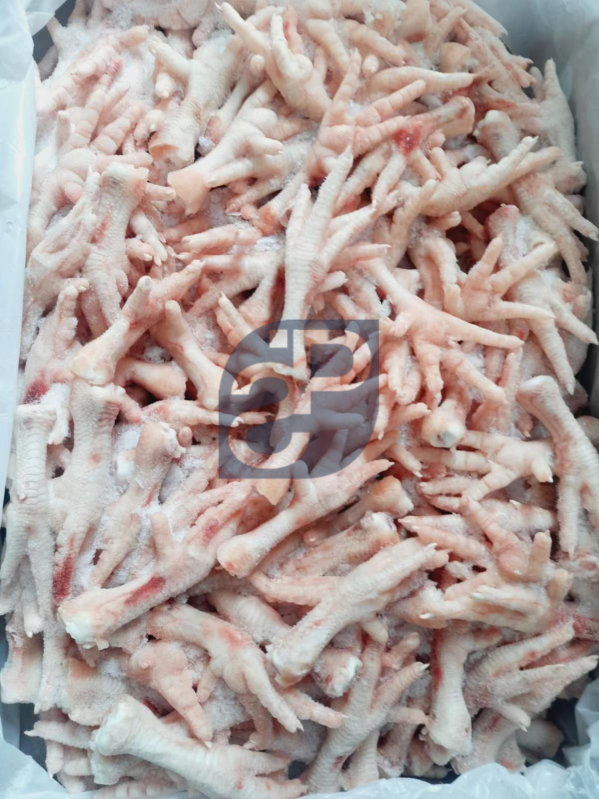 Chicken Feet - Standard & Partners #3.jpg