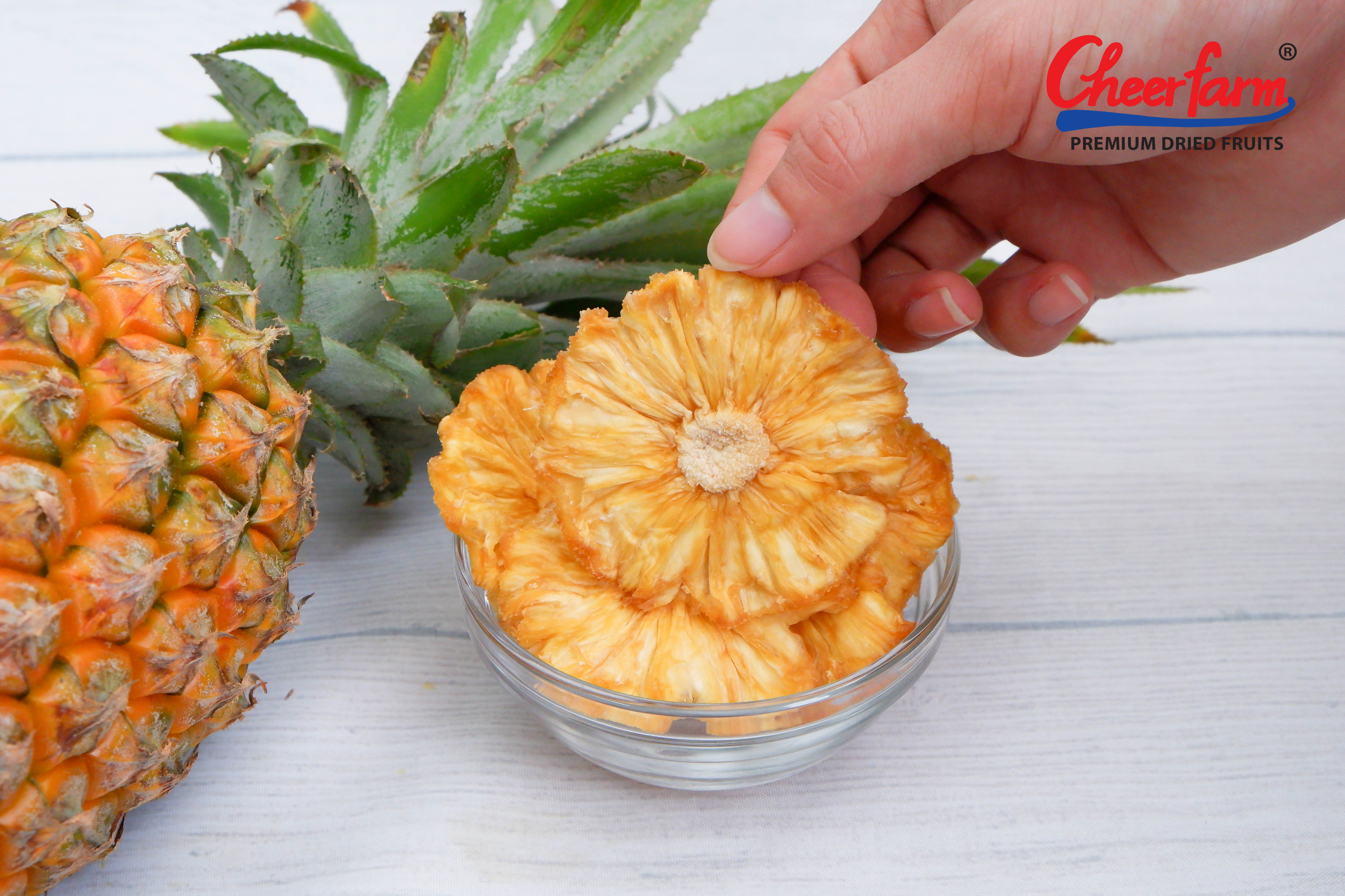 Pineapple 17.jpg