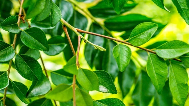 istock-186792938_ratio-16x9.jpg