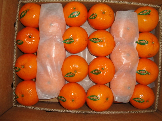 DSC06107.JPG