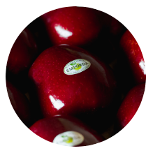 manzana-roja.png
