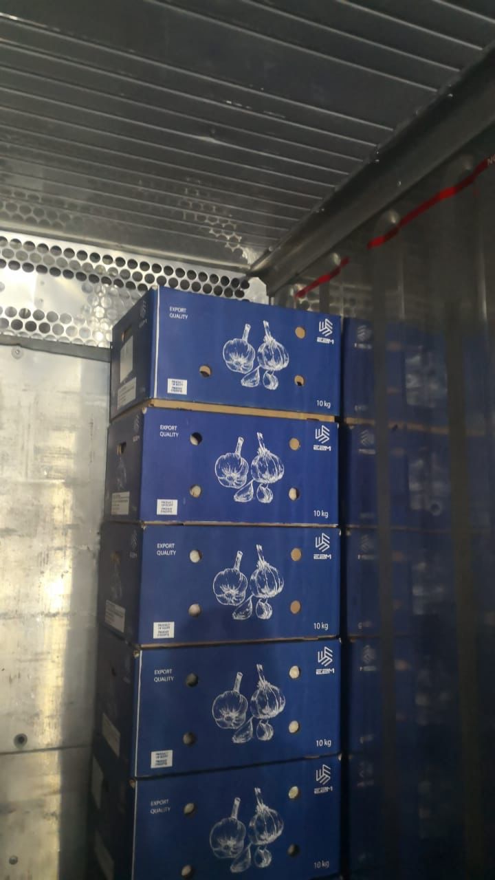 WhatsApp Image 2022-05-26 at 12.16.35 PM.jpeg