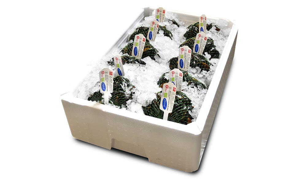 Linemuslinger-box.jpg