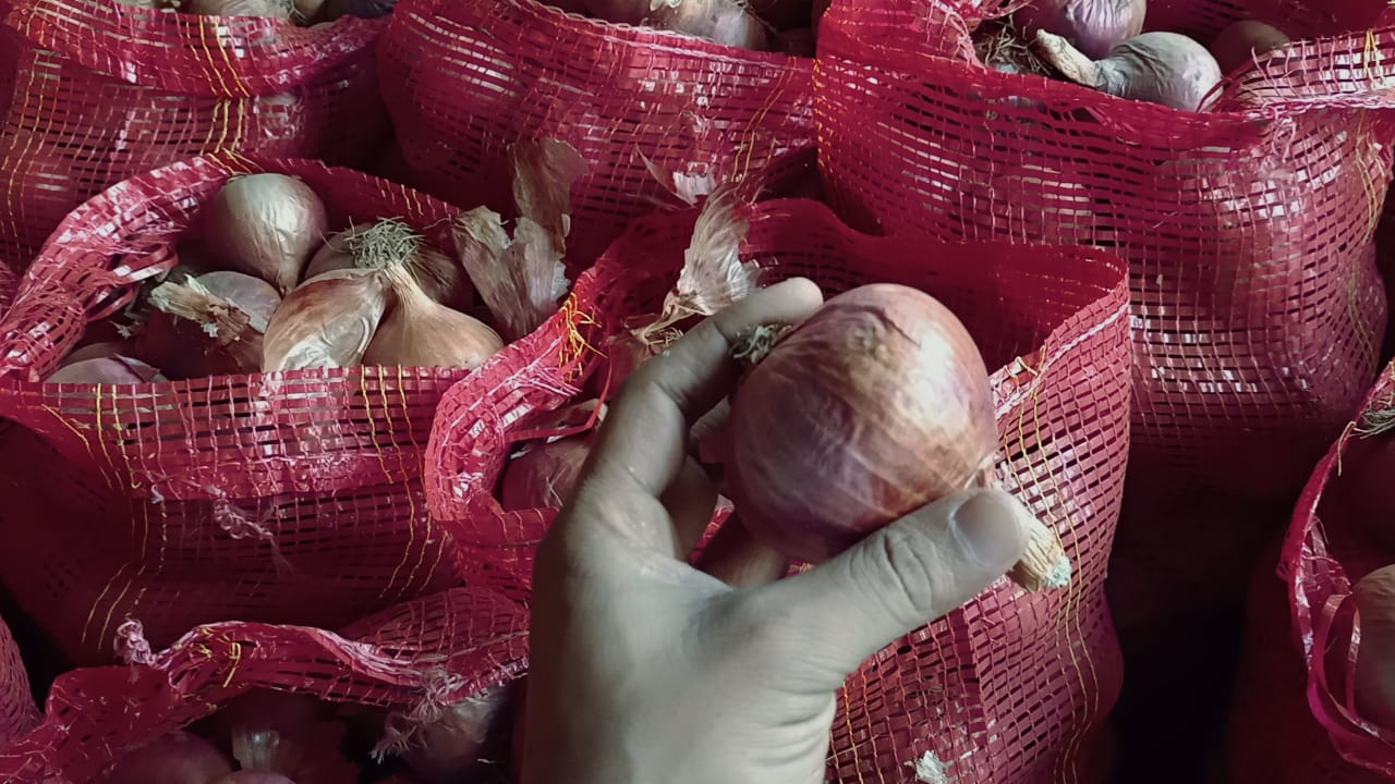 ONIONS OLD CROP 3.jpeg