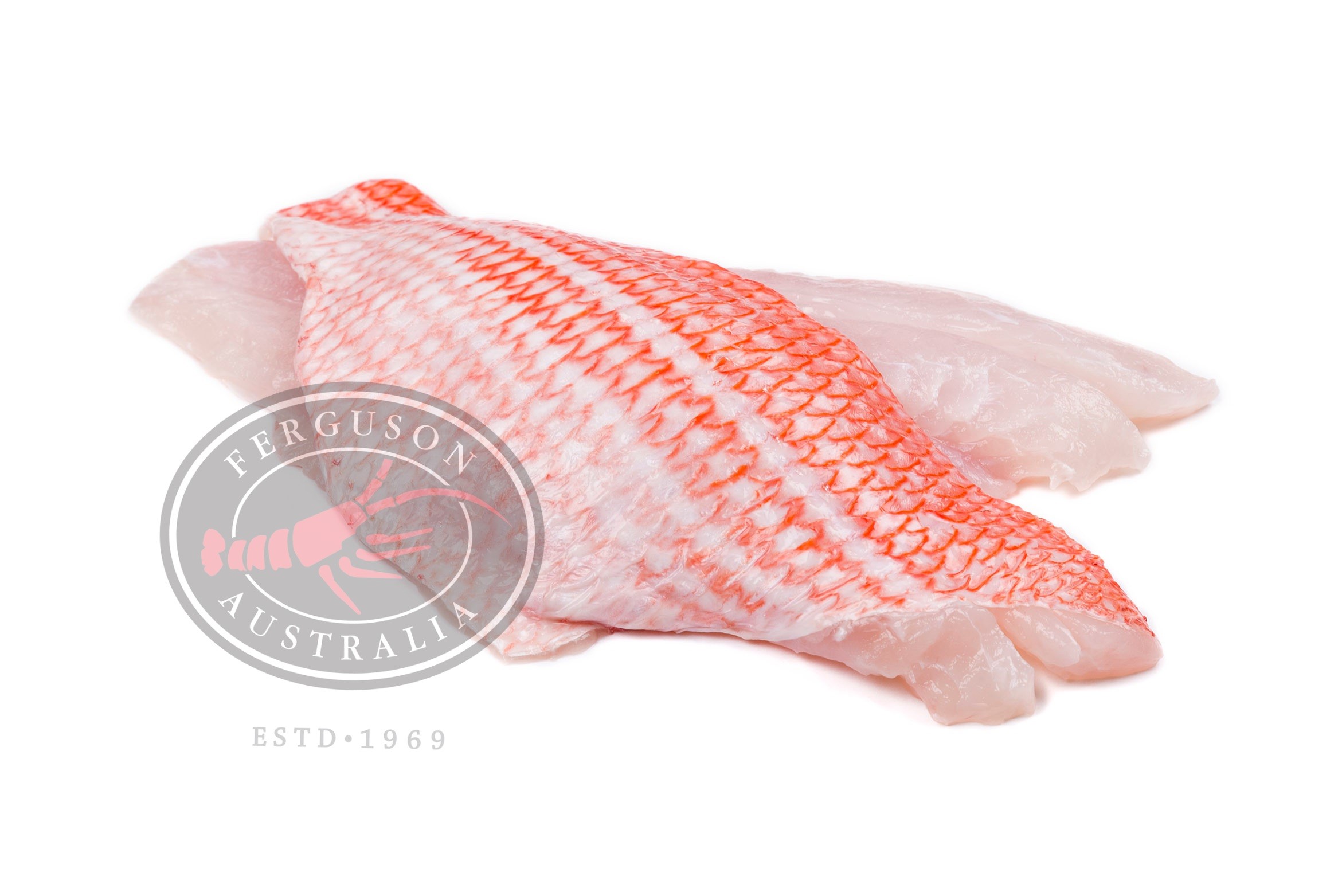 RedfishFilletsWMLR.jpg