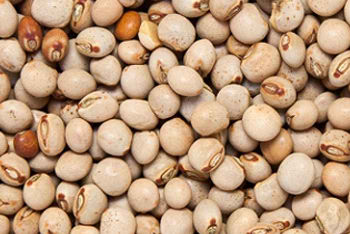 pigeon-peas2-350x234-1.jpg