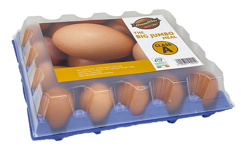 Annalitten-Jumbo-20-Egg-Format.webp