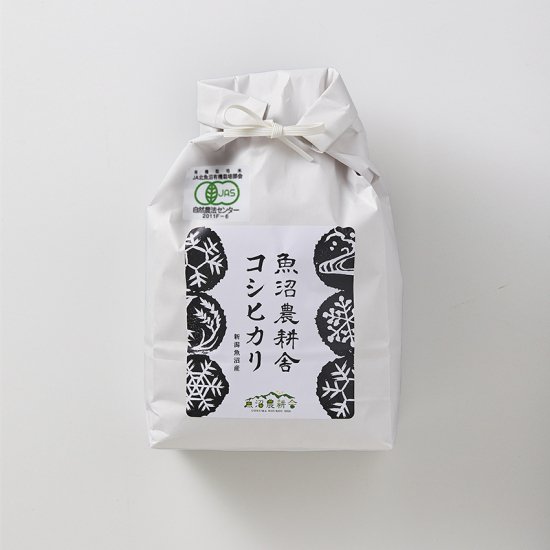 White Rice.jpg