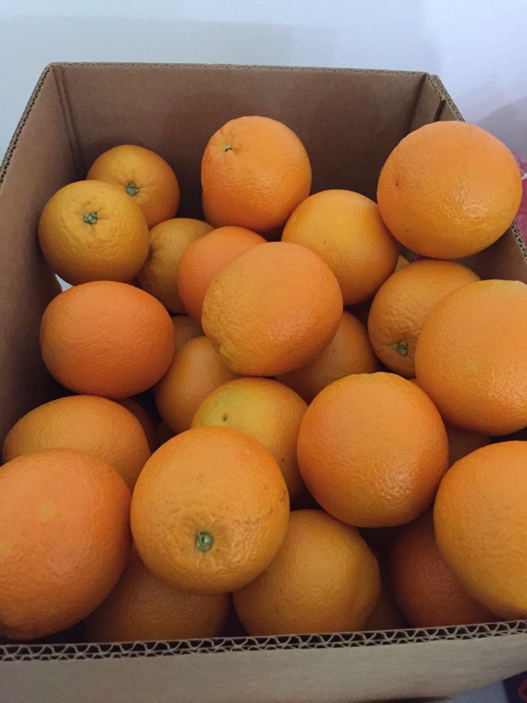 Sorted box oranges.jpg