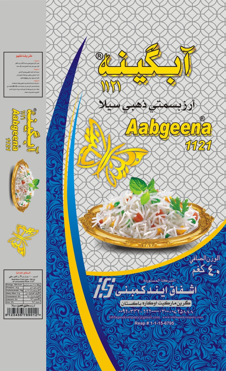 aabgeena-silver-ConvertImage.jpg