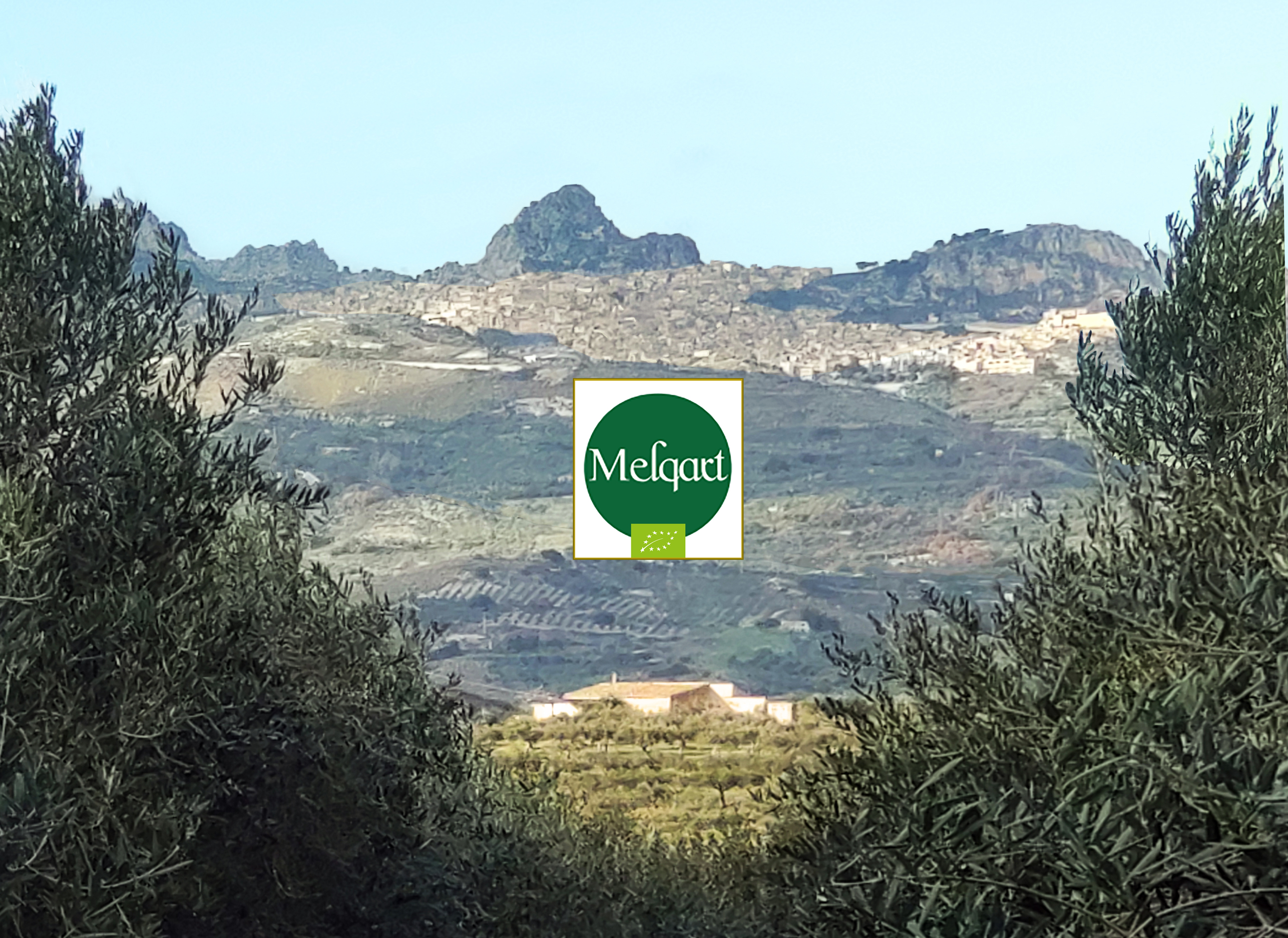 olio-melqart-caltabellotta-l'arcobaleno sca arcobalenobio.it.jpg