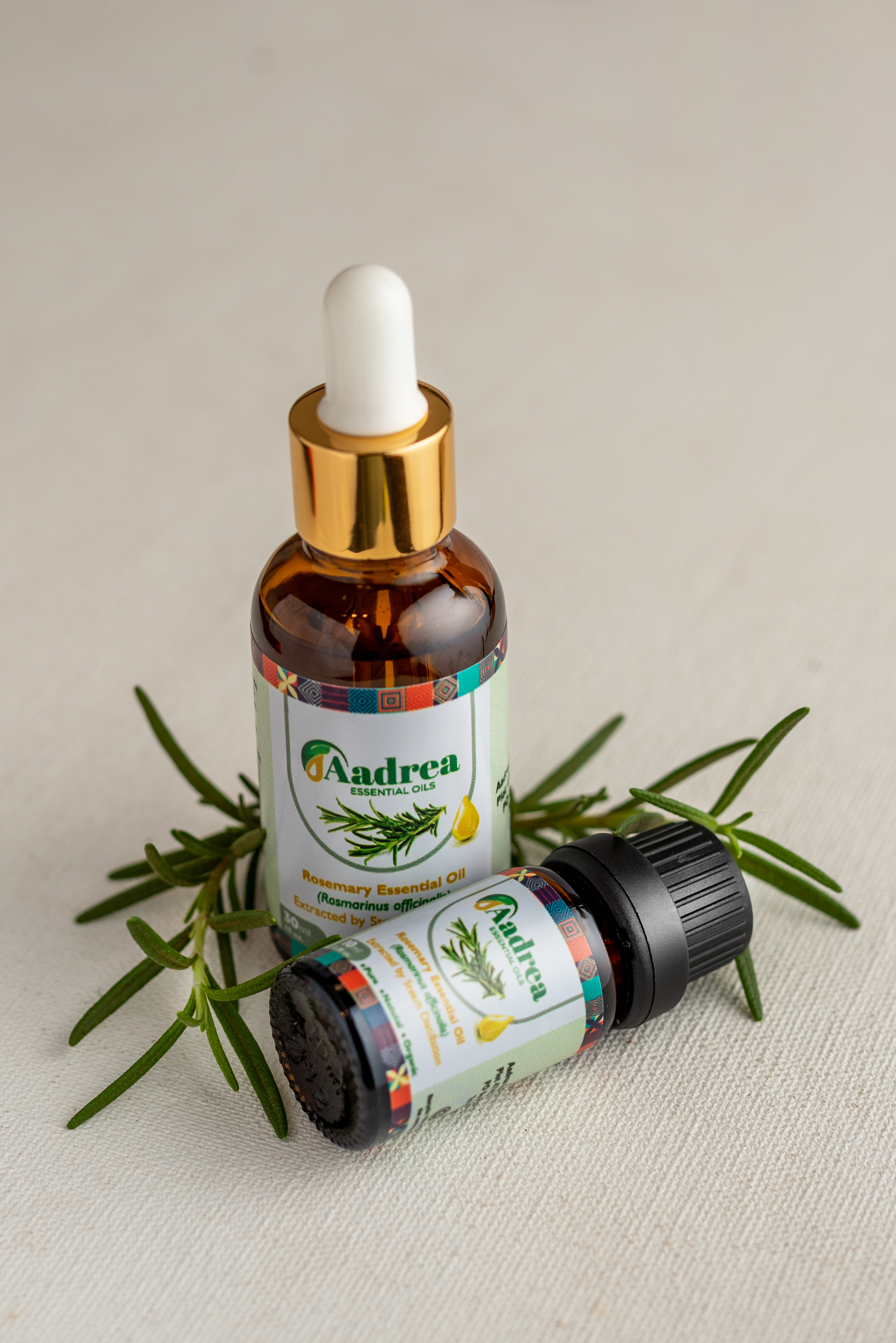 rosemary proped 2.jpg