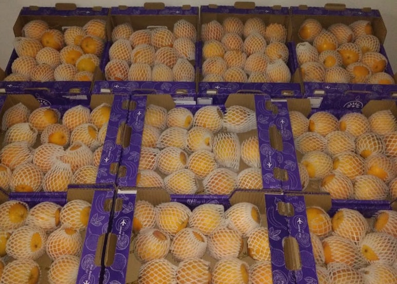 PASSION FRUIT GRANADILLA.jpeg