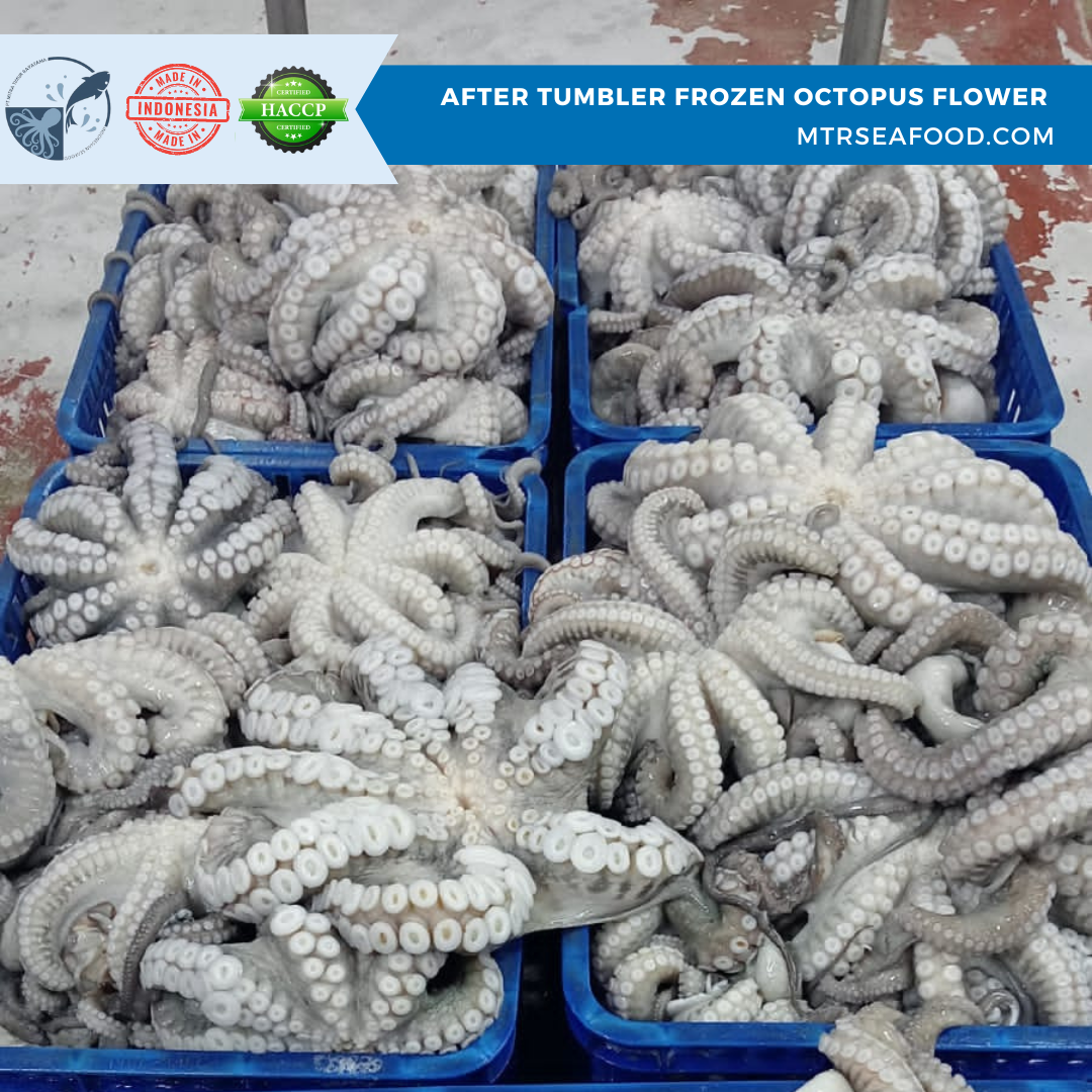 AFTER TUMBLER FROZEN OCTOPUS FLOWER  MTRSEAFOOD.COM.png
