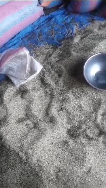 SESAME.jpg
