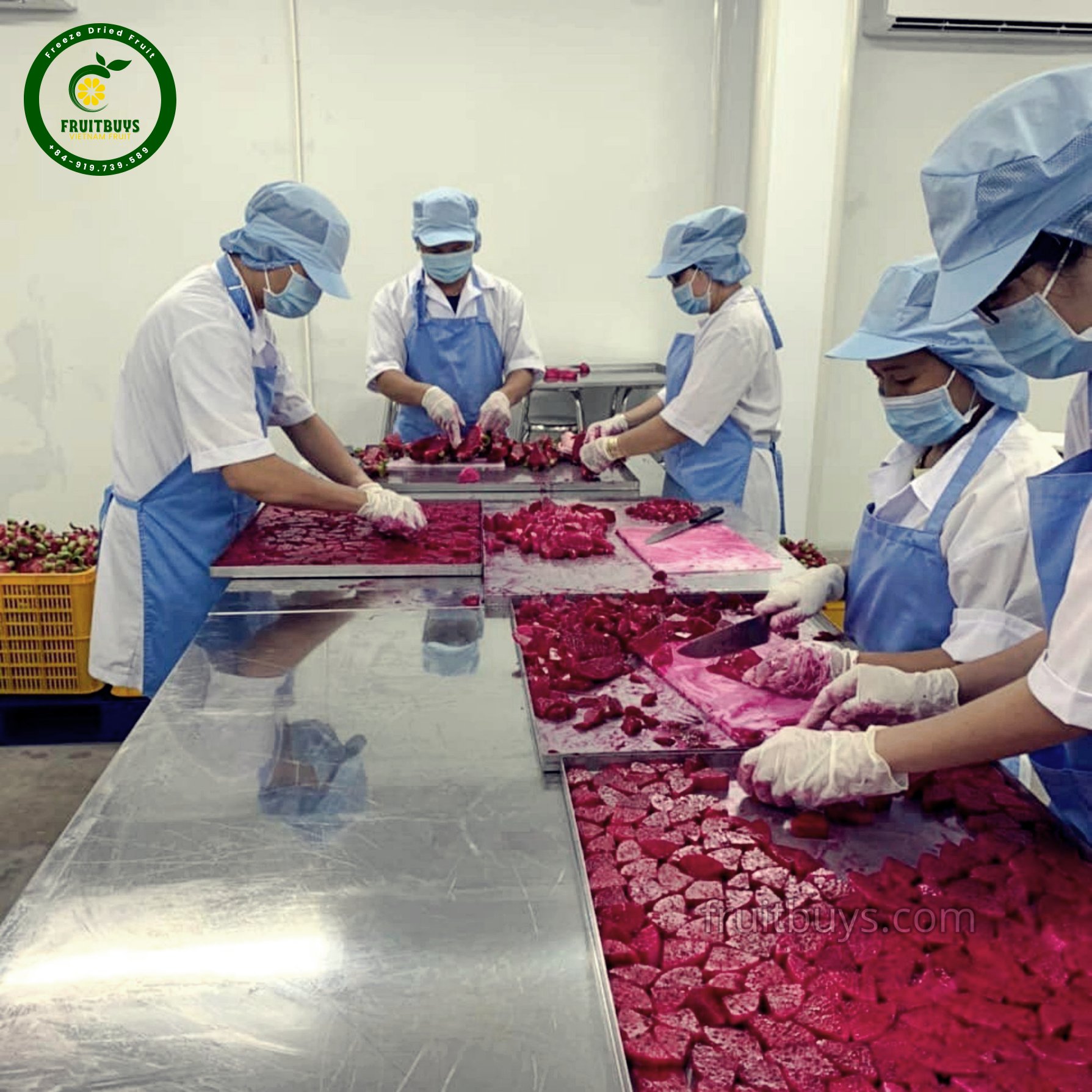 Freeze-dried dragon fruit Package- FruitBuys Vietnam (3).jpg