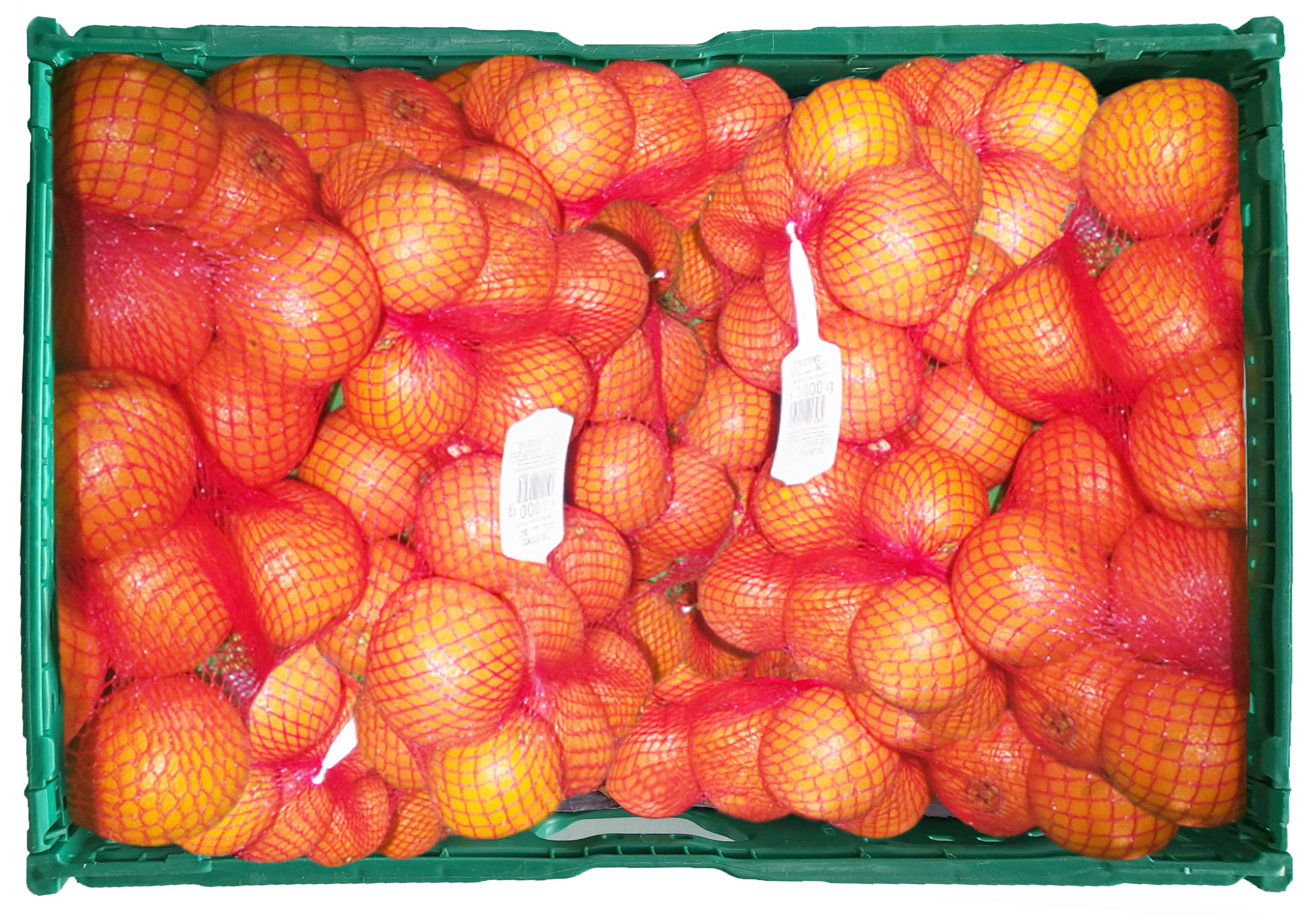 arance biondina arcobalenobio l'arcobaleno sca.jpg