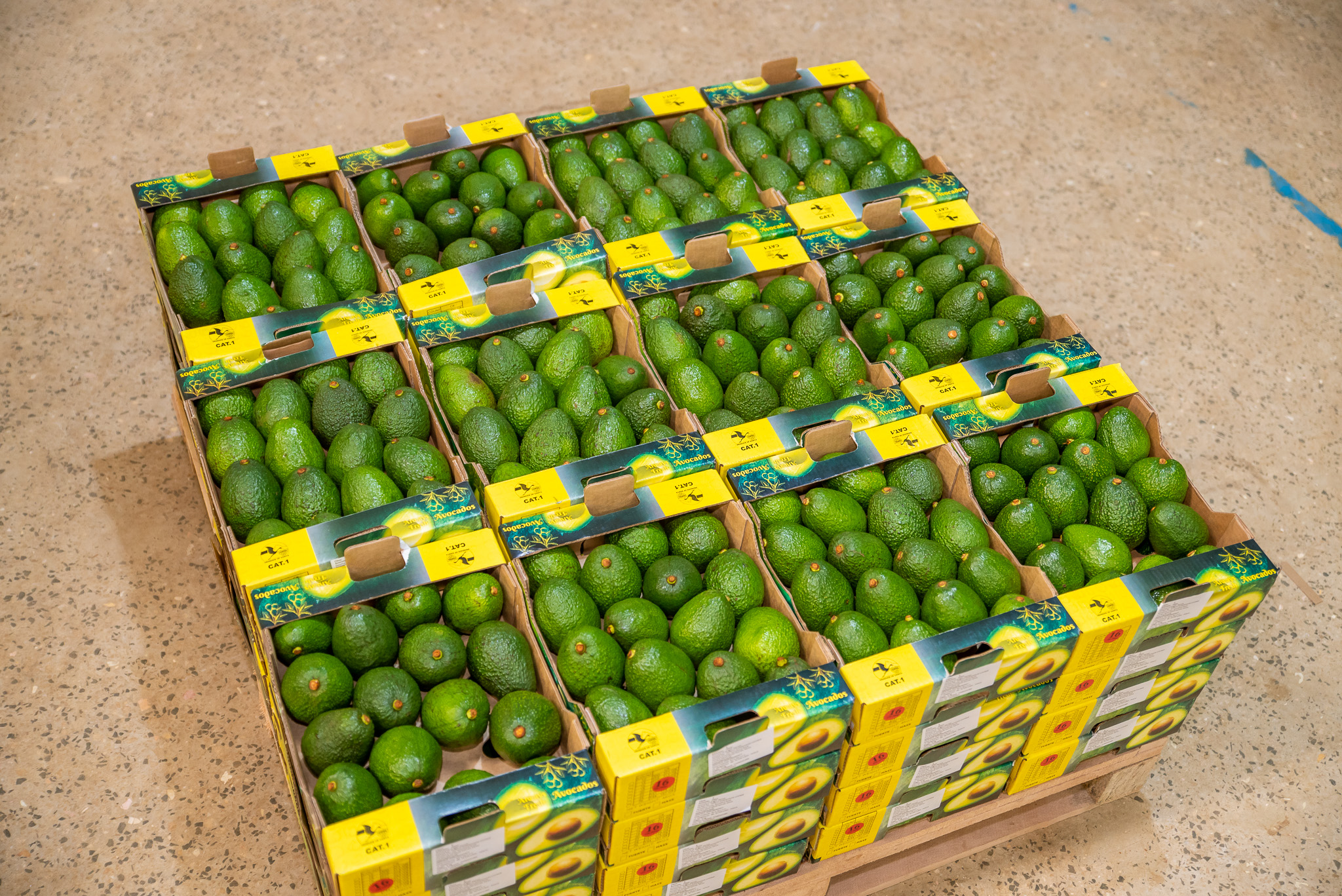 Yo Farm Packaging -50.jpg