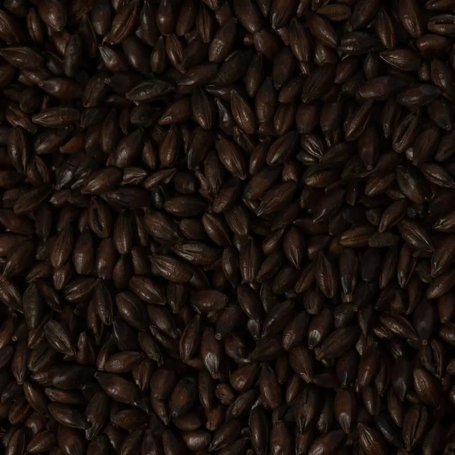 Black-closeup_result.jpg.webp