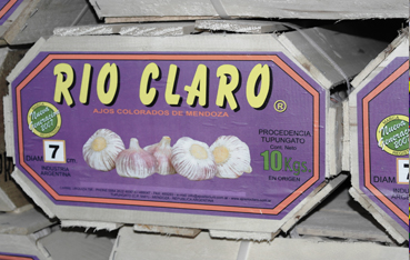 slide-morado1.jpg