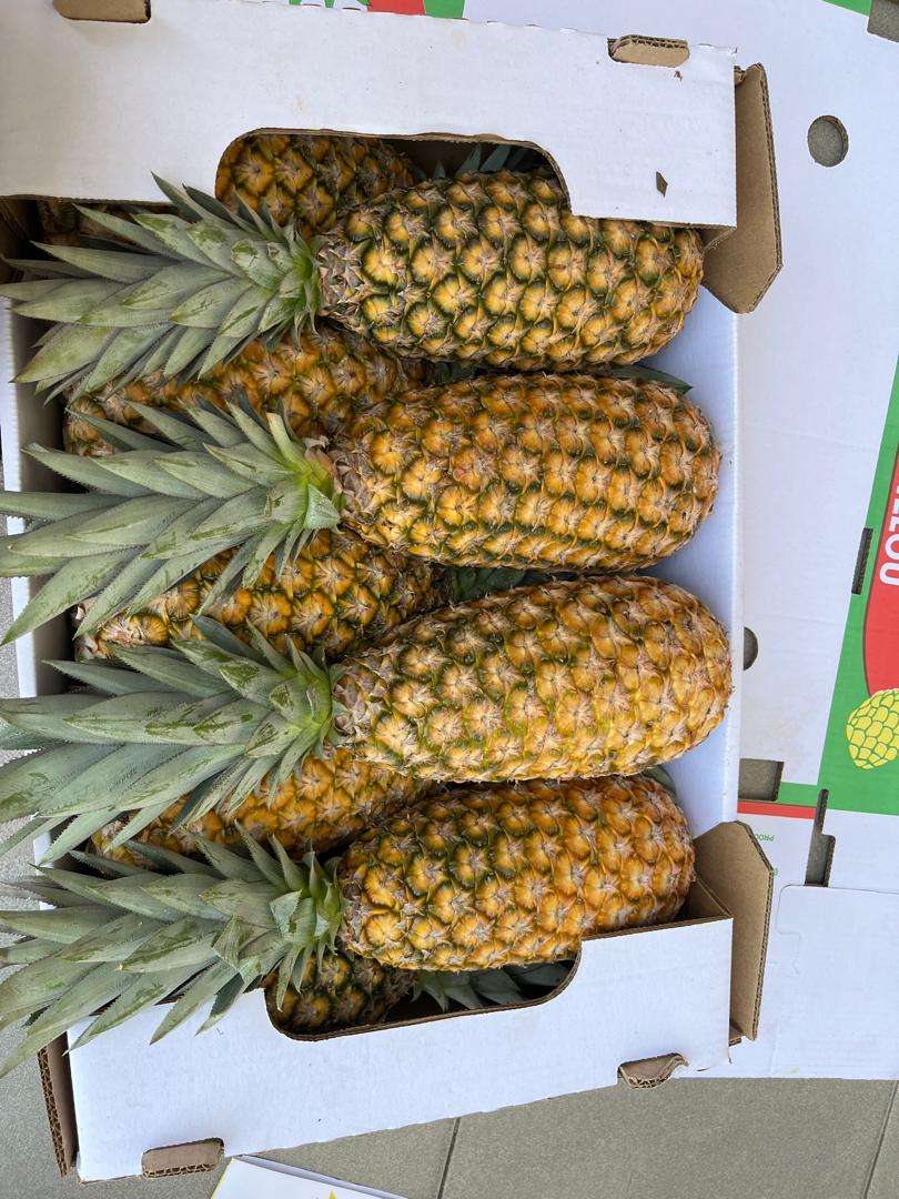 Pain-de-Sucre-Bénin#kodra-export 2.JPG
