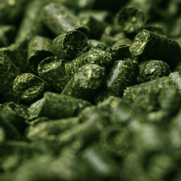 bulk-pellet.jpg