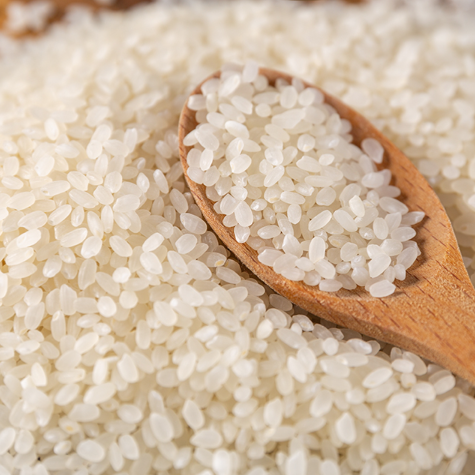 Jasponica Rice 3.PNG