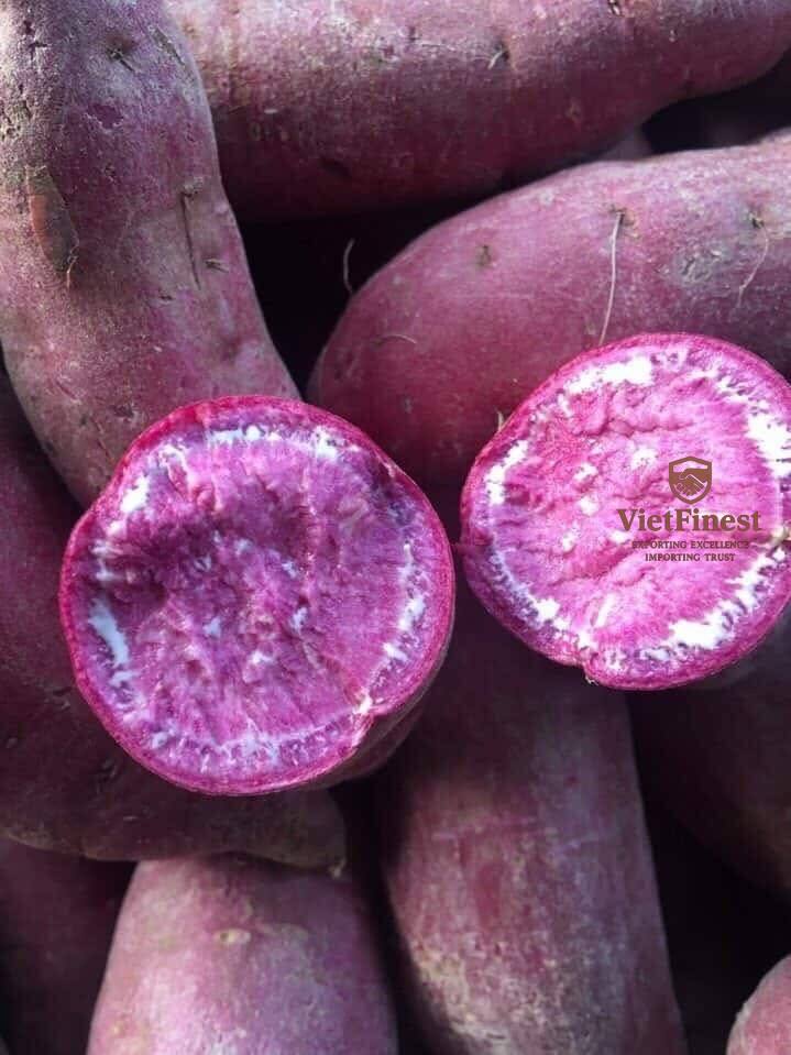 Purple_Sweet_Potatoes_KL_tim_3.jpg