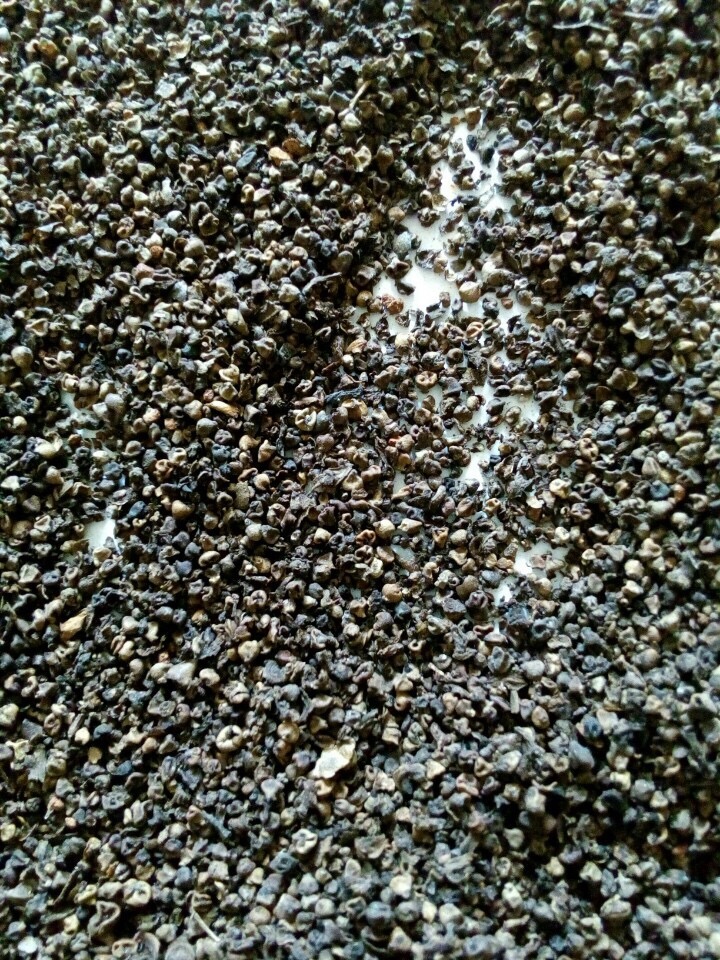 2_pinhead 1_5 mm.jpg