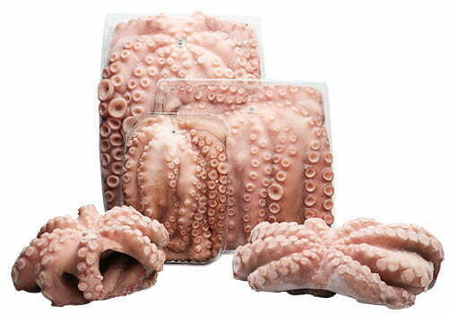 pulpo-congelado-formatos.jpg