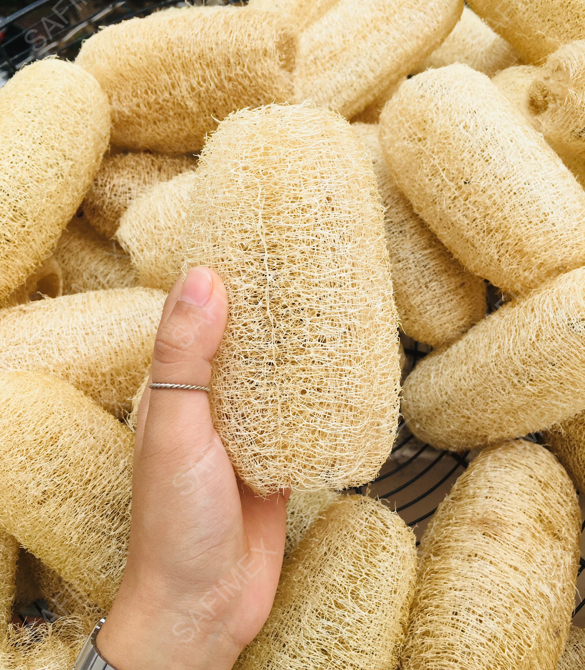 10-15cm loofah2.jpg