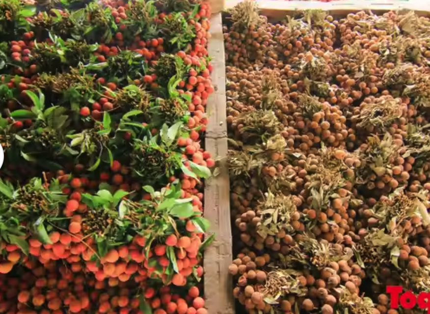 Screenshot 2025-01-07 at 09.02.36.png