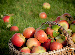 pommes.jpg